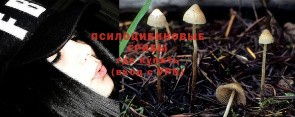 хмурый Вязники