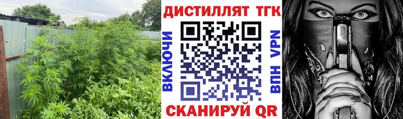 ТГК вейп Купить Костомукша