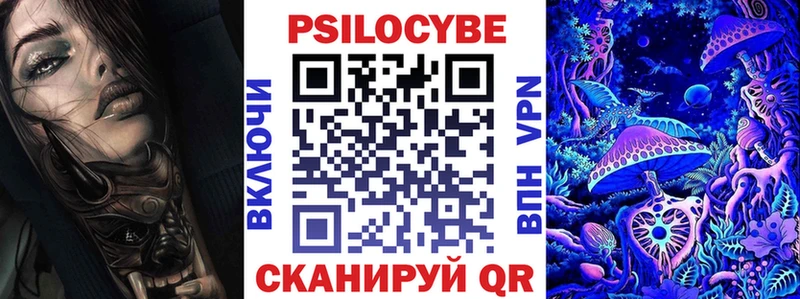 Купить  Костомукша  Псилоцибиновые грибы мицелий 